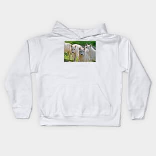 Arctic Wolf Kids Hoodie